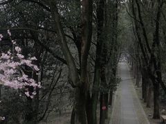 -虞山风景区