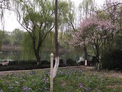 -西安汉城湖景区