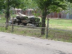 -秦皇岛野生动物园