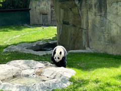 -上海野生动物园