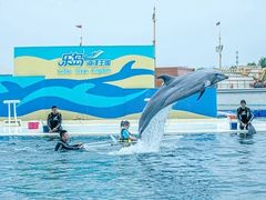 -秦皇岛乐岛海洋王国