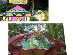 -广州市流溪河国家森林公园