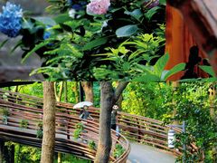 -北山街历史文化街区