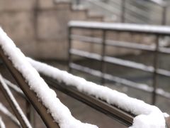 -河北中医学院(橘泉校区)