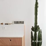 只有可以漫步的异形立面