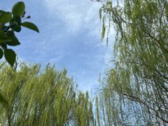 -元大都城垣遗址公园