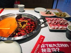 -井格重庆火锅(友谊路新业广场店)