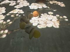 -良设夜宴 LIANGSHE