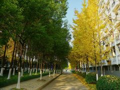 -杭州电子科技大学(下沙校区)
