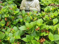 -宝光寺