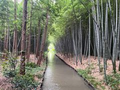 -同里国家湿地公园