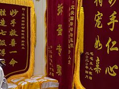 -宠爱国际动物医院· 猫科· 外科·中兽医(长白店)