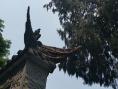 -都江堰普照寺
