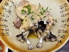 白斩鸡（清蒸）-75幢私房菜馆