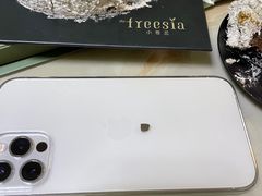 -小苍兰风铃草·礼物蛋糕(沈阳店)