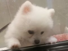 -上海尚嘉中心