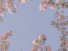 敏华黯然销魂饭-敏华冰厅(天河城店)