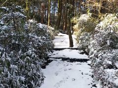 景点-綦江古剑山