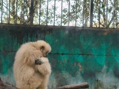 -宁波野生动物园