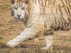 -济南野生动物世界