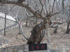 -青檀寺景区