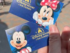 -上海迪士尼度假区