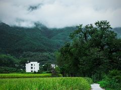 -婺源风景区