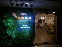 -西施无菌半永久纹绣眉眼影唇轻增发纹发际线