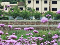 -溪口-滕头旅游景区