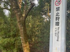-广州市石门国家森林公园
