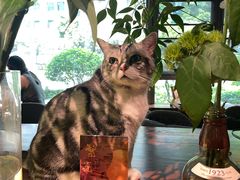 -咖法森林·咖啡  酒吧(天河店)