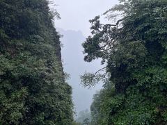 -峨眉山风景名胜区