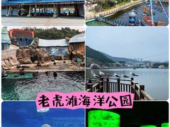 -大连老虎滩海洋公园