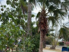 -亚龙湾海底世界