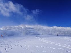 -大秃顶子山(雪谷店)