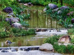 -上海共青森林公园