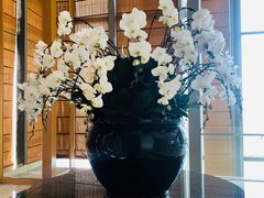 -视界美食自助餐厅·石家庄希尔顿酒店