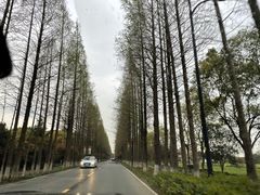 -歌斐颂巧克力小镇