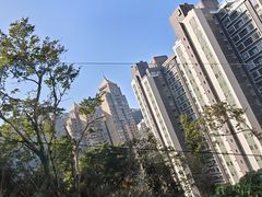 -山顶缆车