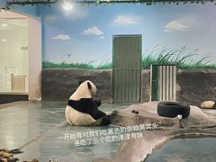 -安吉竹博园