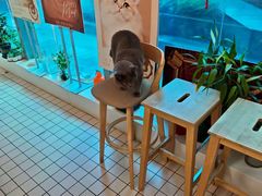 -ID.PHOTO照相馆(嘉里企业中心店)