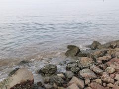 -野狸岛