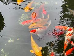 -灵顺寺