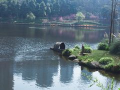 -重庆彩云湖湿地公园