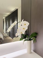 -in BEAUTY法国原液之谜
