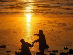 -宝安西湾红树林湿地公园