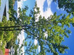 -崇圣寺三塔文化旅游区