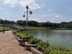 -东莞植物园