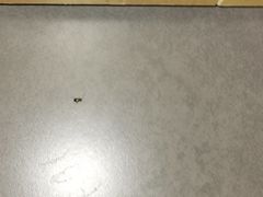 -城市便捷酒店(广州十三行上下九步行街一店)