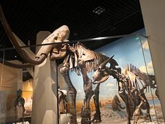 -国家自然博物馆